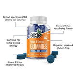 CBDfx CBD Gummies for Focus & Energy 1500mg (60 Gummies) Benefits