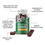 CBDfx CBD Gummies With Mushrooms for Wellness 1500mg (60 Gummies) Benefits