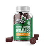 CBDfx CBD Gummies With Mushrooms for Wellness 1500mg (60 Gummies)
